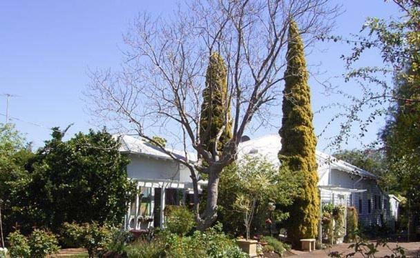 Jacaranda Guest House Busselton Exterior photo